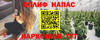 крисы Жуковский