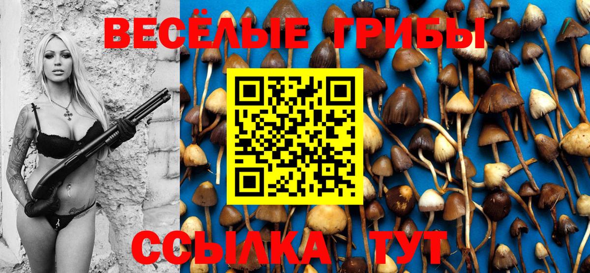 Псилоцибиновые грибы ЛСД  Вход с VPN  Лесозаводск  Псилоцибиновые грибы Psilocybe 